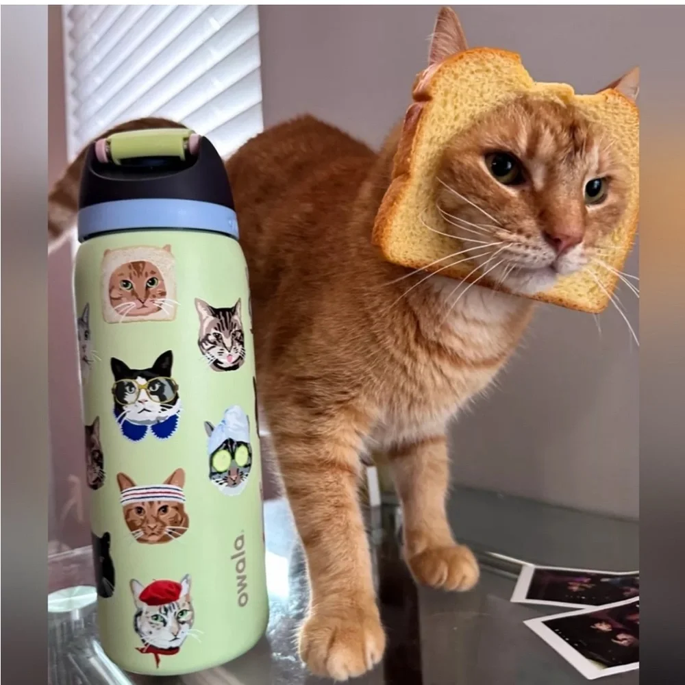 Owala Cat Print Water Bottle - Picture 2 of 2